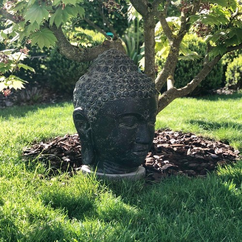 Buddha kopf büste - buddha,